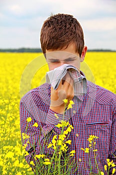 Pollen Allergy