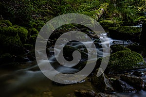 Allerheiligen waterfalls of the black forest Schwarzwald, Baden-Wuerttemberg, Germany