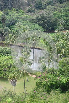 Allerton Garden - National Tropical Botanical Garden in Koloa on Kauai Island in Hawaii photo