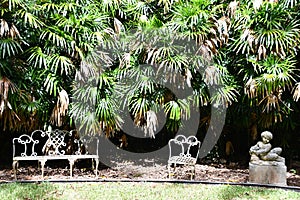 Allerton Garden - National Tropical Botanical Garden in Koloa on Kauai Island in Hawaii photo