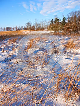 Allerton Park Prairie Illinois