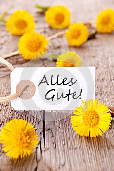 Alles Gute with Yellow Flowers