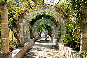 Alley in the Alfabia gardens - Mallorca, Balearic Islands, Spain