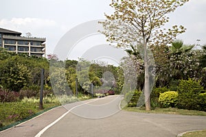 Alley arranged in Nanning Five Elephants lake Park