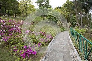 Alley arranged in the Shimen Forest Park