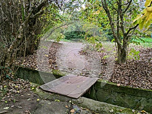 Alley, autumn in Dendrological Park Arboretum Silva