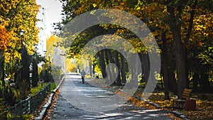 Alley in the autumn park. A man jogs in the morning at a city park