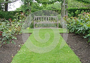 Alley and bench in a park