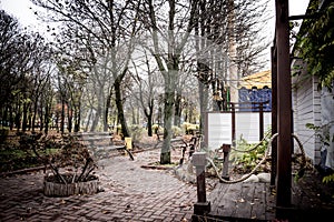 Alley with Benches in dendro park in Kropyvnytskyi, Ukraine