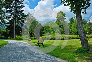 Alley with benches in park