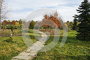 Alley at the botanical garden near Ploiesti, Romania