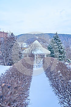 An alley between bushes leading to a white gazebo. Beautiful winter landscape on the alley on a sunny day. Picturesque