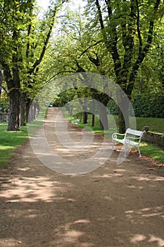 Alley in castle gardens