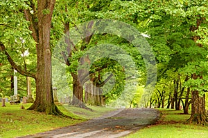 Alley at a cemetery