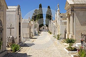 Alley on the cemetery during sunny day in Albufeira, Algarve, Portugal
