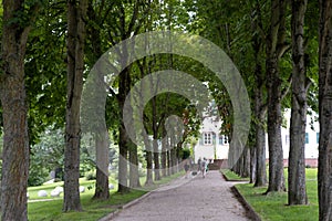 alley in cultivated epoch-spanning English palace park, residence Landgraves of Hesse-Homburg, landscape design