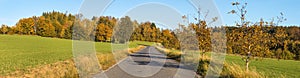 alley deciduous trees and road autumn panoramic view