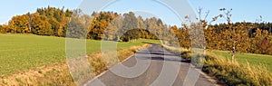 alley deciduous trees and road autumn panoramic view