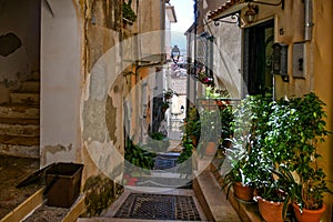 The seaside town of Diamante, Italy. photo