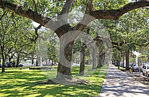 Alley in Emmet Park