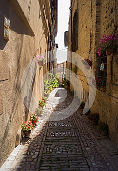 Alley with flower vases