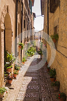 Alley with flower vases