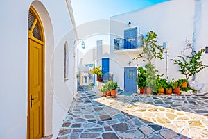 Alley with flowerpots near whitewashed houses, Greece