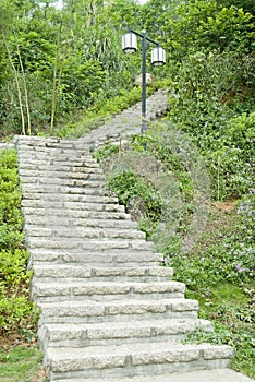 Alley in garden