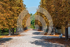 Alley at the gardens of Schwetzingen palace in Germany during sunny summer day