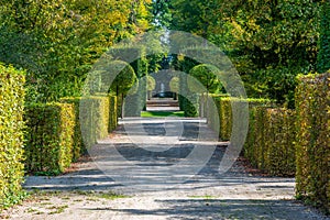 Alley at the gardens of Schwetzingen palace in Germany during sunny summer day