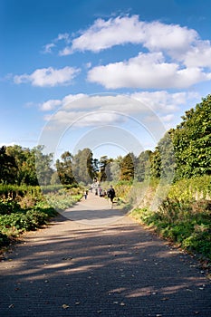 Alley in Kelvingrove Park on a bright sunny day