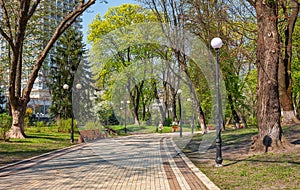 Alley in Mariinsky park in the center of Kyiv, Ukraine