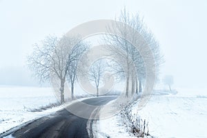 Alley in Masuria in Winter