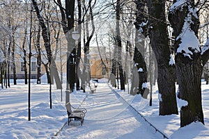 Alley in Mikhailovsky garden in St.Petersburg