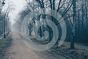 Alley in old park