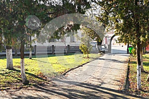 Alley in one of the beautiful parks of the city Lipova.