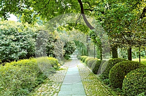 Alley in the park