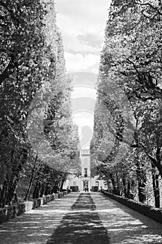 Alley in the park leading to the old villa. Black and white photo