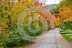 Alley in the park at Lenin Street, Petropavlovsk-Kamchatsky, Russia.