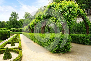 Alley Park in the Wurzburger Residenze. Germany