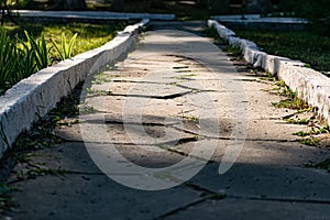 An alley and path among green vegetation, grass and trees with shrubs and part of the road ennobled