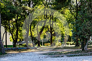 An alley and path among green vegetation, grass and trees with shrubs and part of the road ennobled