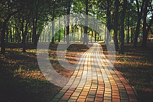 Alley, pathway in the city park in sunlight. Cobbled alley in the public  park. Green tree foliage. Nature outdoor landscape with