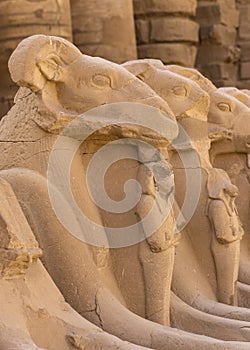 Alley of the ram-headed Sphinxes. Karnak Temple