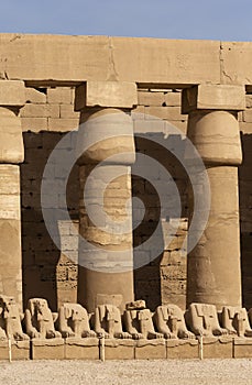Alley of the ram-headed Sphinxes. Karnak Temple.