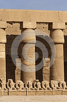 Alley of the ram-headed Sphinxes. Karnak Temple. photo