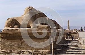 Alley of the ram-headed Sphinxes. Karnak Temple. Luxor, Egypt.