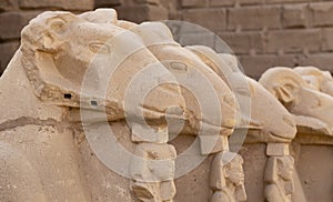 Alley of the ram-headed Sphinxes. Karnak Temple. Luxor, Egypt.