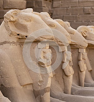 Alley of the ram-headed Sphinxes. Karnak Temple. Luxor, Egypt.