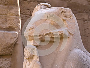 Alley of the ram-headed Sphinxes. Karnak Temple. Luxor, Egypt. photo